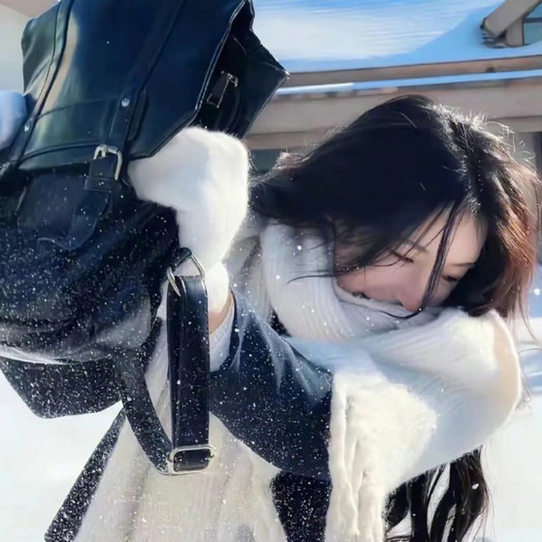 家族极道物语海报